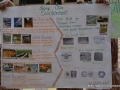 Env (1)Poster